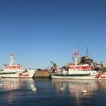 lanchas en la paloma