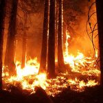 prevencion de incendios