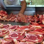 carnesen frigorifico