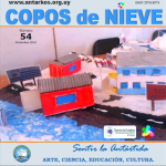 copos de nieve 54