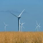 parque eolico