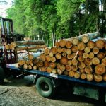 transporte madera