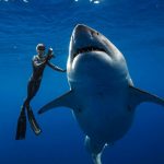 deep blue