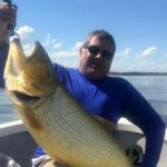 dorado grande