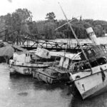 foto del 51