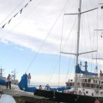 velero (1)