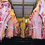 Carnes-768×497