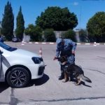 acuerdo con prefectura