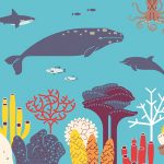 featured-image-index