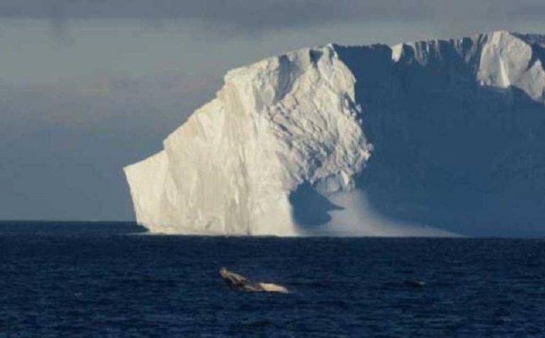 Dos estudios revelan que los icebergs de la Antártida se desmoronan más rápido de lo previsto