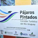 pajaros pintados (1)