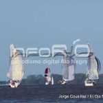 regata 51