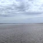 riodelaplatabusqueda