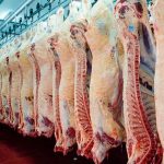 exportaciones carnicas