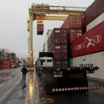 celulosa, trigo etc.