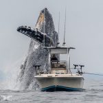 pescador