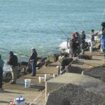 sudamericano de pesca