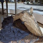 EL ÁGUILA DEL BUQUE GRAF SPEE LANGUIDECE EN UN POLVORÍN DE LA ARMADA URUGUAYA