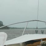 coneccion carmelo tigre