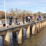 campeonato de pesca (2)