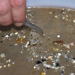 microplasticos-foto-de-sea-education-association_1200w