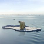 santuarios en canada