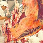 carne a exportacion
