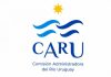 La CARU abre convocatoria binacional para cargos permanentes en el Comité Científico