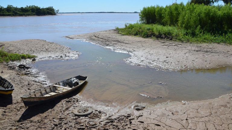 Bajante del Paraná presiona a la baja los valores FOB de maíz, soja y derivados argentinos