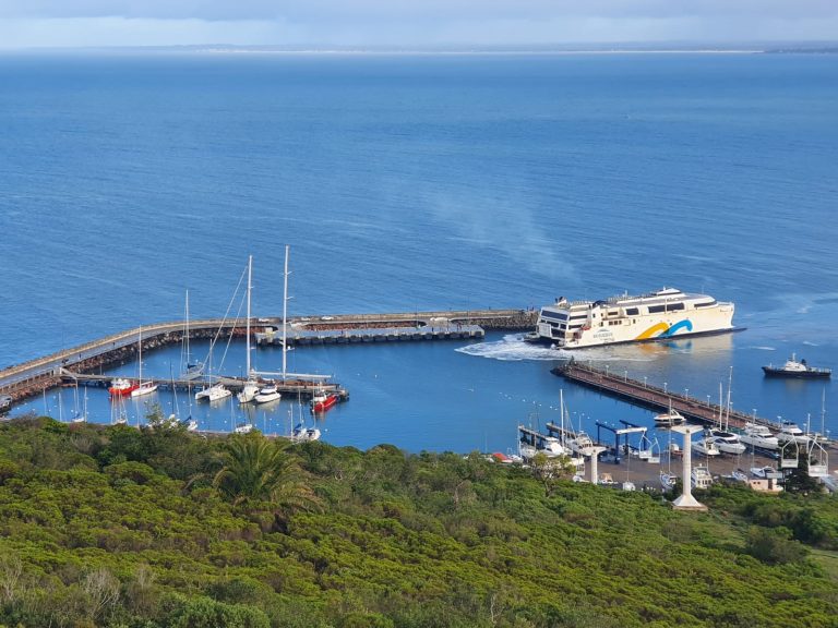 El intendente de Maldonado adhiere a la idea de que Piriápolis se convierta en puerto de cruceros