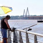 pescando
