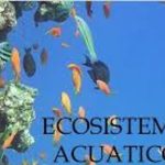recursos acuatico