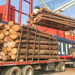 barco con madera de ibicuy