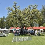 gualeguaychu y colonia