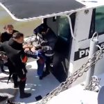 rescatados del ederra