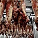 carnes uruguayas