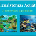ecosistemas