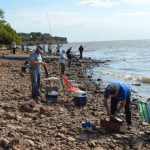 pesca de bogas