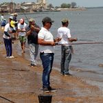 pesca sanducera