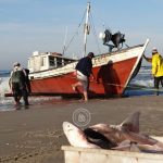 pescadores