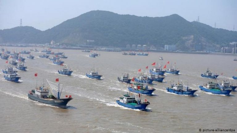 La flota china amenaza la riqueza pesquera de América Latina