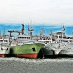 buques pesqueros
