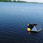 eliminando cianobacterias