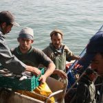 pescadores artesanales