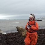 coronavirus antartico