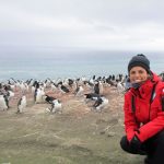 investigando pinguinos