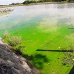 las ciano en carmelo