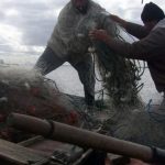 pescadores artesanales