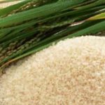 arroz