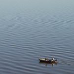 cursos pesca